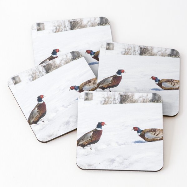 Item preview, Ring-necked pheasants designed and sold by CanadianWild418.