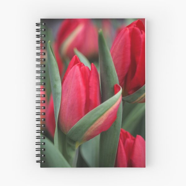 Item preview, Tulip Fever designed and sold by Karen E Camilleri.