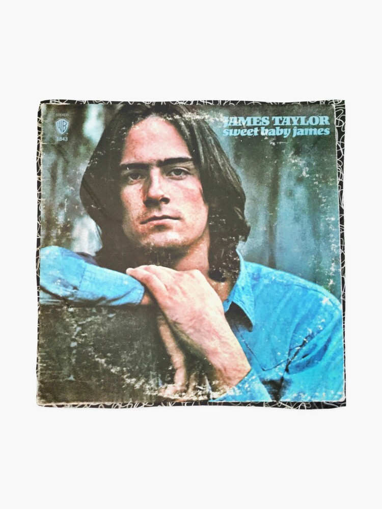 sweet baby james book