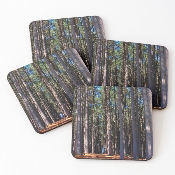 Item preview, Sugar Pine Walk - Near Batlow NSW designed and sold by Paul Gilbert.
