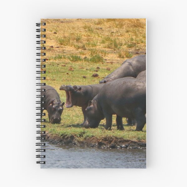 Item preview, Hippos grazing by the Chobe River, Botswana, Africa designed and sold by FranWest.