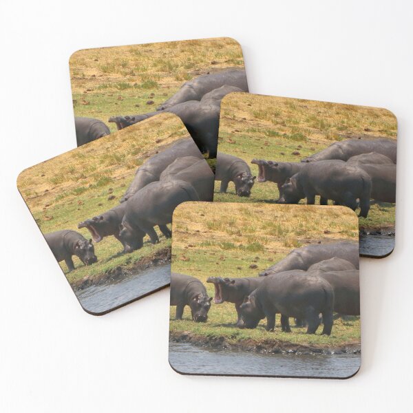 Item preview, Hippos grazing by the Chobe River, Botswana, Africa designed and sold by FranWest.