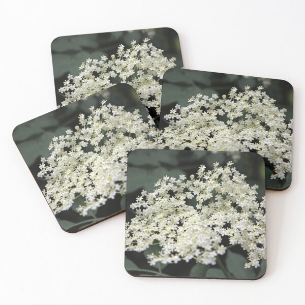 Item preview, Elder flower designed and sold by pinkal.