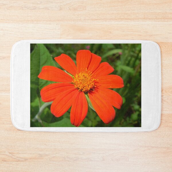 Item preview, Mexican Sunflower designed and sold by subiesam1993.