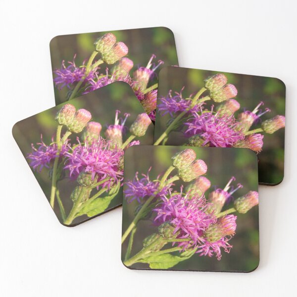 Item preview, Native Plant for Pollinators designed and sold by subiesam1993.