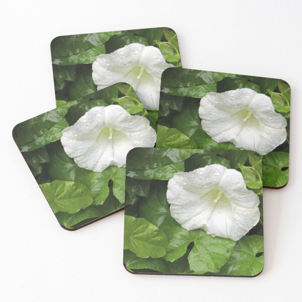 Item preview, Bindweed Flowers designed and sold by pinkal.