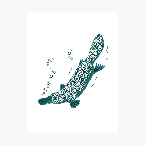 Item preview, Platypus graphic art designed and sold by Sarah Trett.