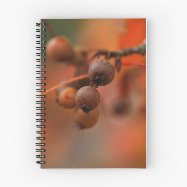 Item preview, Pear Tree Treats designed and sold by Brenda Burnett.