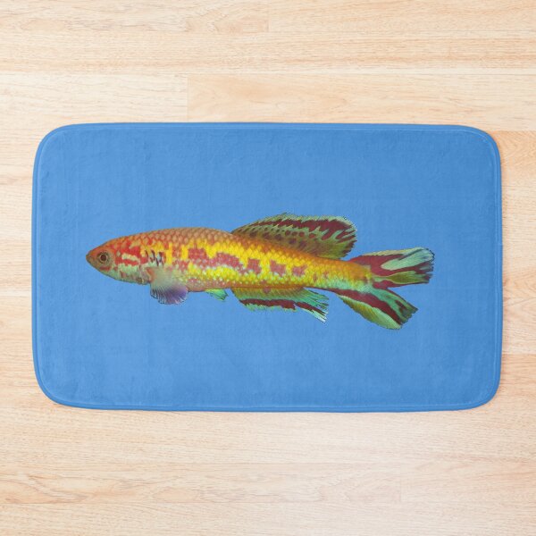 Item preview, Callopanchax occidentalis killifish designed and sold by killies.