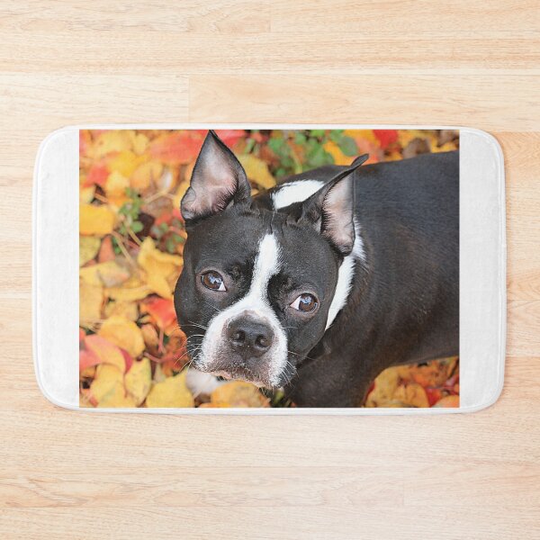 Item preview, Spanky designed and sold by Brenda Burnett.
