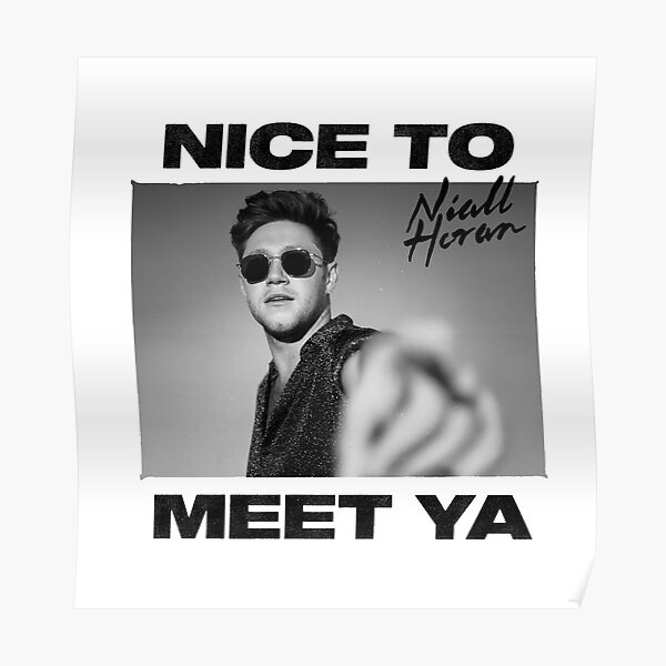 Threenal Niall Nice To Meet Ya North American Tour 2020 Poster