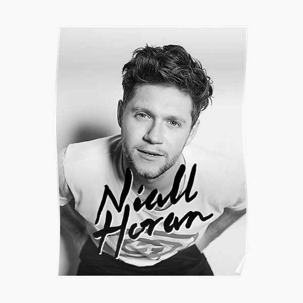 Fournal Niall Nice To Meet Ya North American Tour 2020 Poster