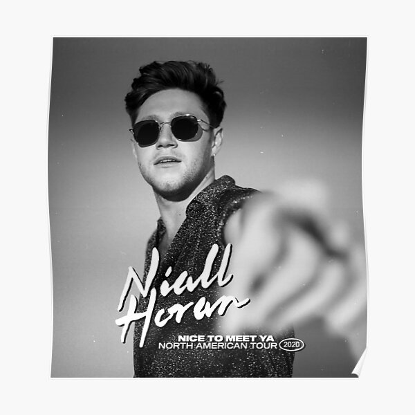 Sixnal Niall Nice To Meet Ya North American Tour 2020 Poster