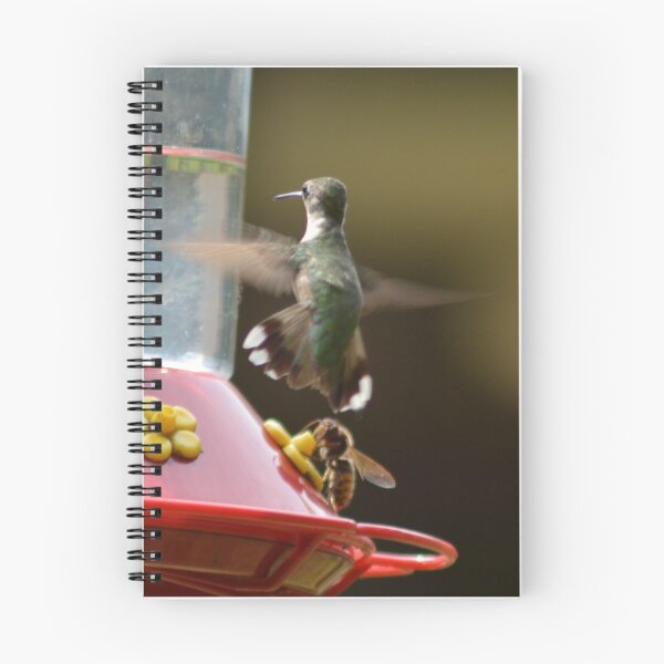 Item preview, Ruby-Throated Hummingbird and Honey Bee designed and sold by garrgirl.