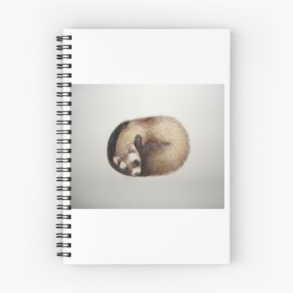 Item preview, Curled Ferret designed and sold by Polecatty.