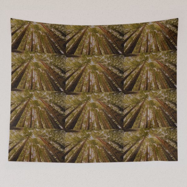 Item preview, Beech Forest... where the Redwoods keep getting taller! designed and sold by imaginethis.