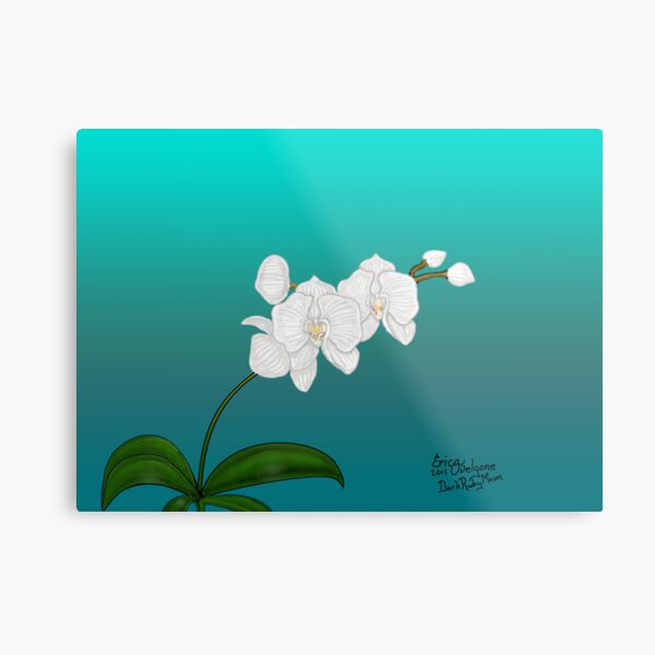White Orchid Metal Print