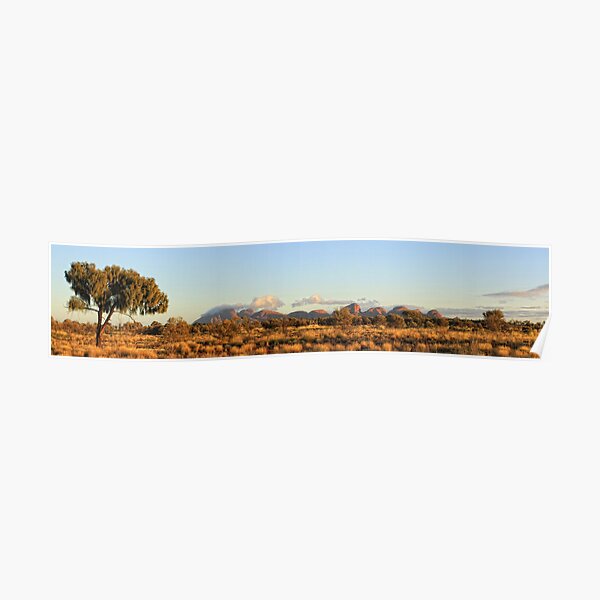 Kata Tjuta Tree Poster