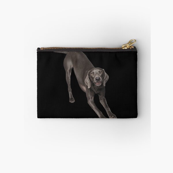 Item preview, Weimaraner bow designed and sold by Sarah Matula Photography.