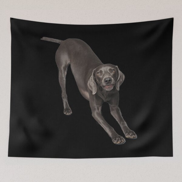 Item preview, Weimaraner bow designed and sold by Sarah Matula Photography.