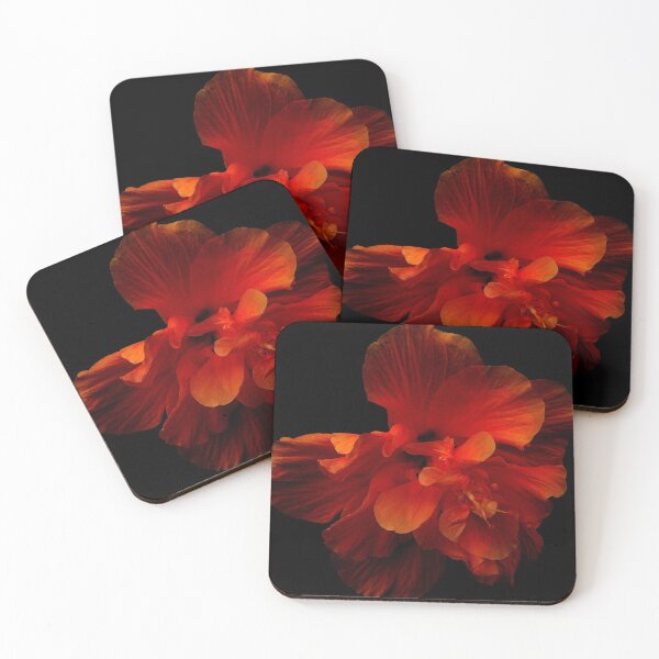 Aperçu de l'œuvre Hibiscus Series 1 créée et vendue par Koon.