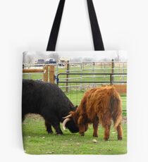 The Lesson Tote Bag
