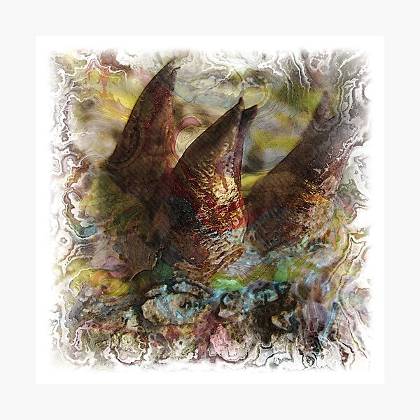 The Atlas Of Dreams - Color Plate 73 Photographic Print