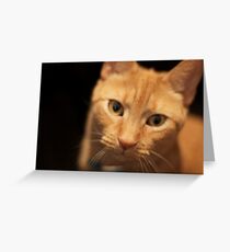 PF Greeting Card