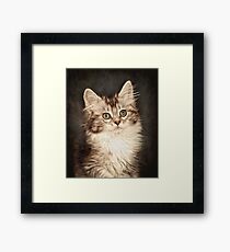 Precious Framed Print