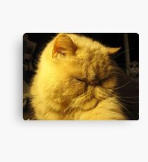No Publicity Canvas Print