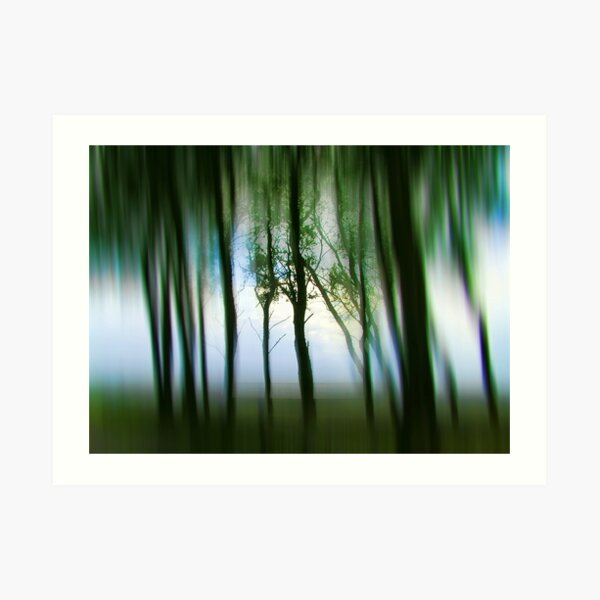 Morning Tree Silhouettes Art Print