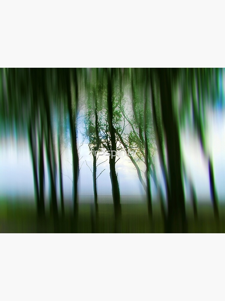 Morning Tree Silhouettes by fr3spirit7