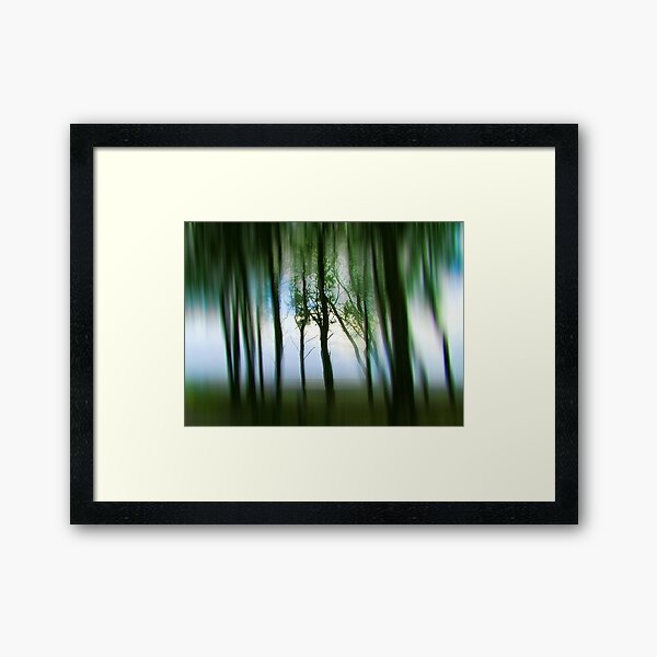 Morning Tree Silhouettes Framed Art Print