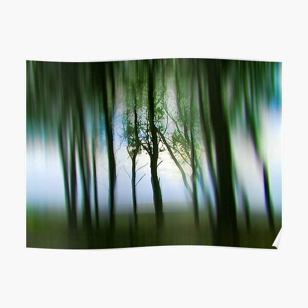 Morning Tree Silhouettes Poster