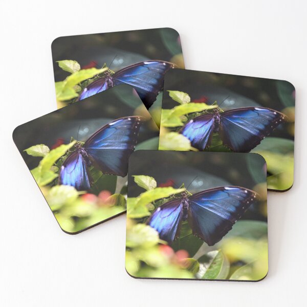 Item preview, Common Morpho - Morpho peleides designed and sold by Matsumoto.