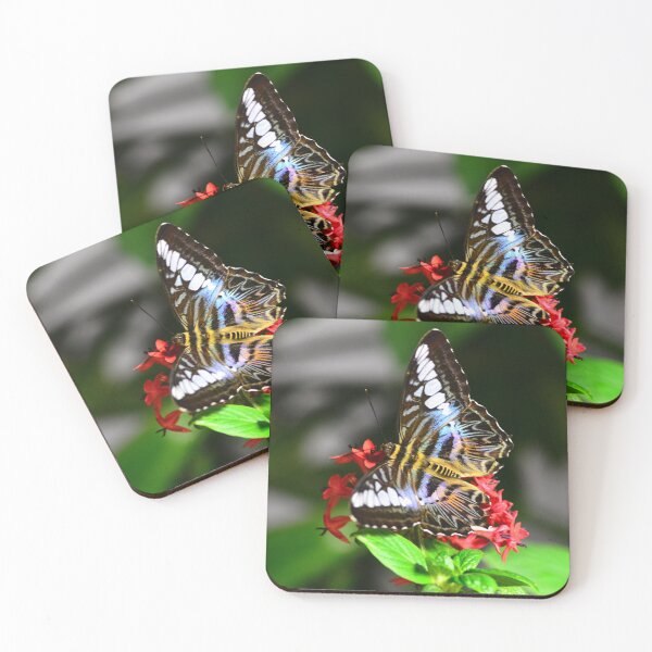 Item preview, (PARTHENOS SYLVIA LILACINUS) Violet Clipper  designed and sold by Matsumoto.