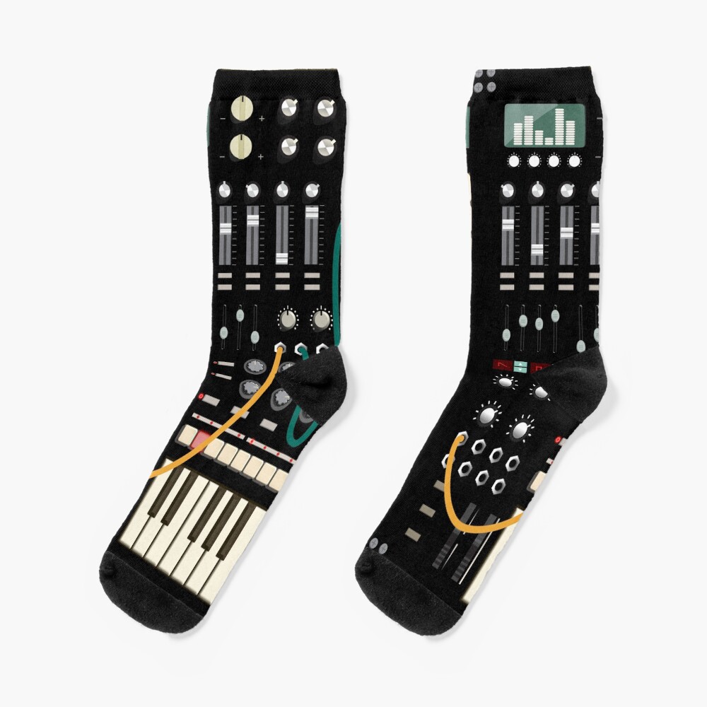 Music Producer and Electronic Musician Socks