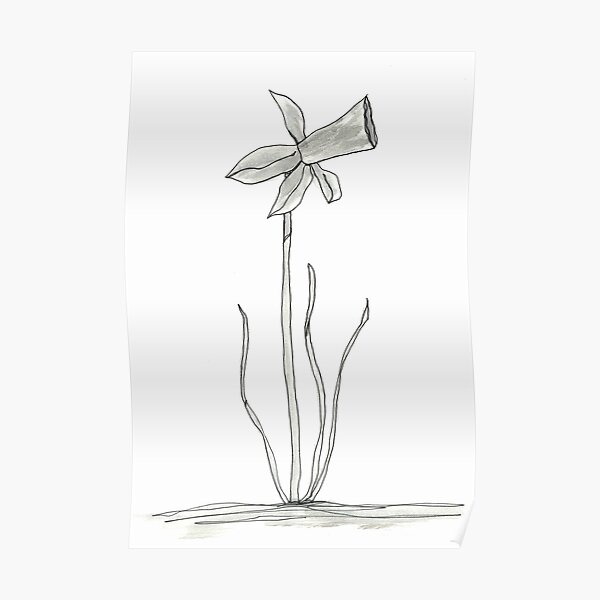 daffodil Poster