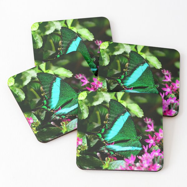 Item preview, Papilio crino (Common Banded Peacock) Butterfly designed and sold by Matsumoto.