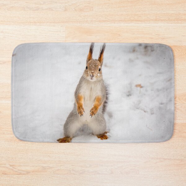 Item preview, Do you have any boots for squirrels? designed and sold by Svetlana Korneliuk.