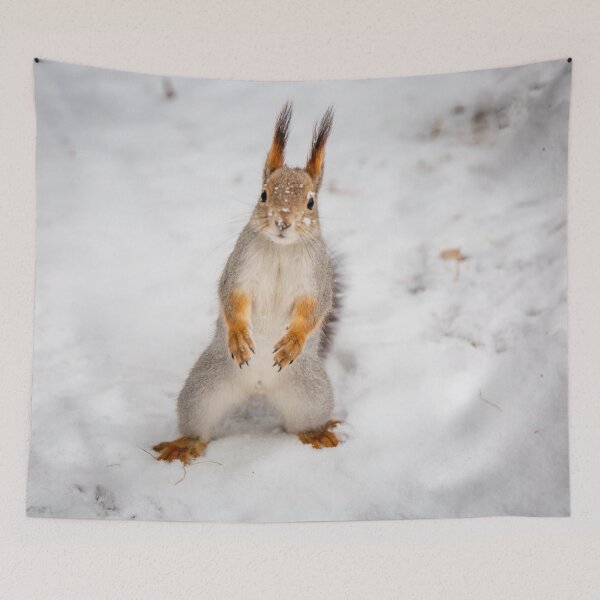 Item preview, Do you have any boots for squirrels? designed and sold by Svetlana Korneliuk.