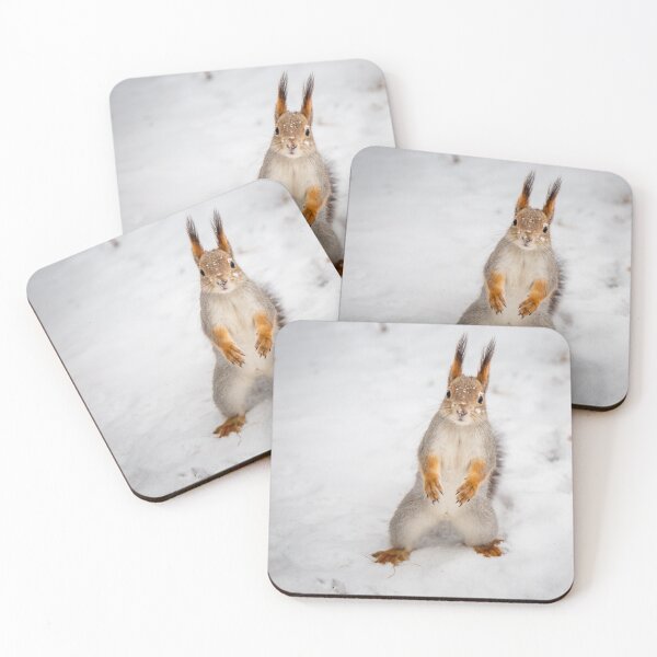 Item preview, Do you have any boots for squirrels? designed and sold by Svetlana Korneliuk.