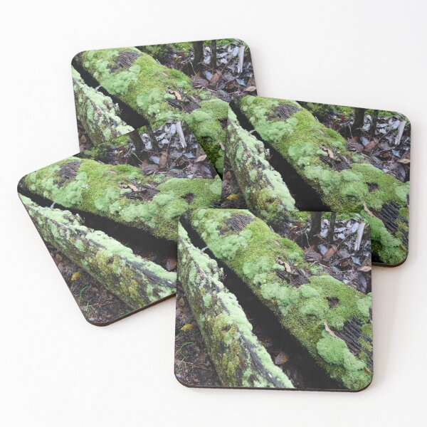 Item preview, Rainforest tree covered in moss designed and sold by NJH110.