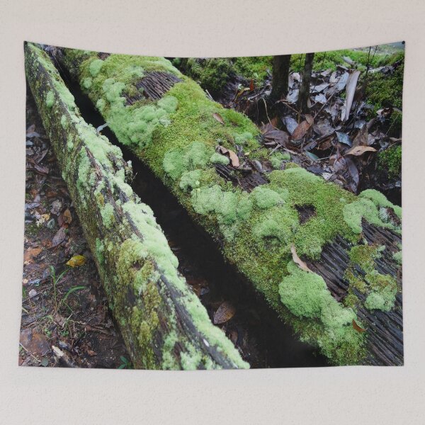 Item preview, Rainforest tree covered in moss designed and sold by NJH110.