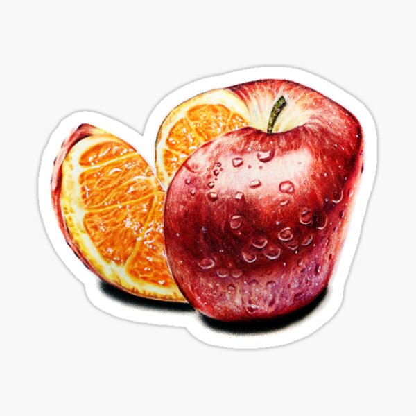 Freakonomics (Color pencil drawing) Sticker