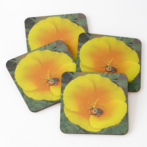 Item preview, Bug in a buttercup designed and sold by NJH110.