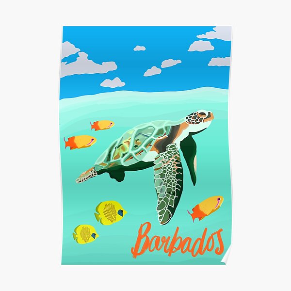 Barbados Turtle Travel Artwork Poster