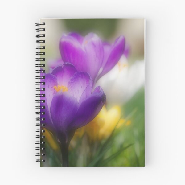 Item preview, Crocus Flowers designed and sold by JEZ22.
