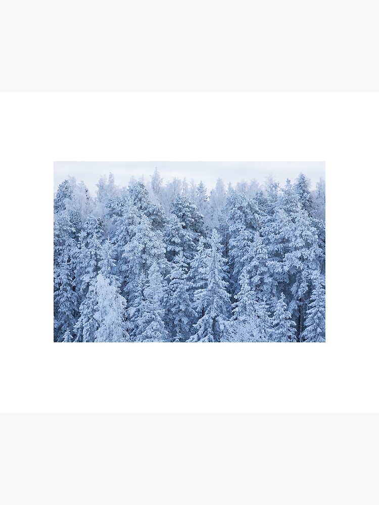 Trees covered in snow by Juhku