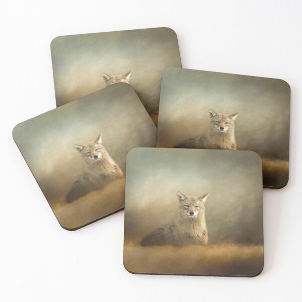 Coyote Coasters (Set of 4)